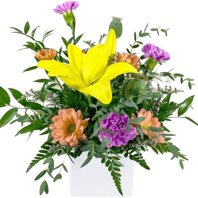 Fall Flowers Category Display Image