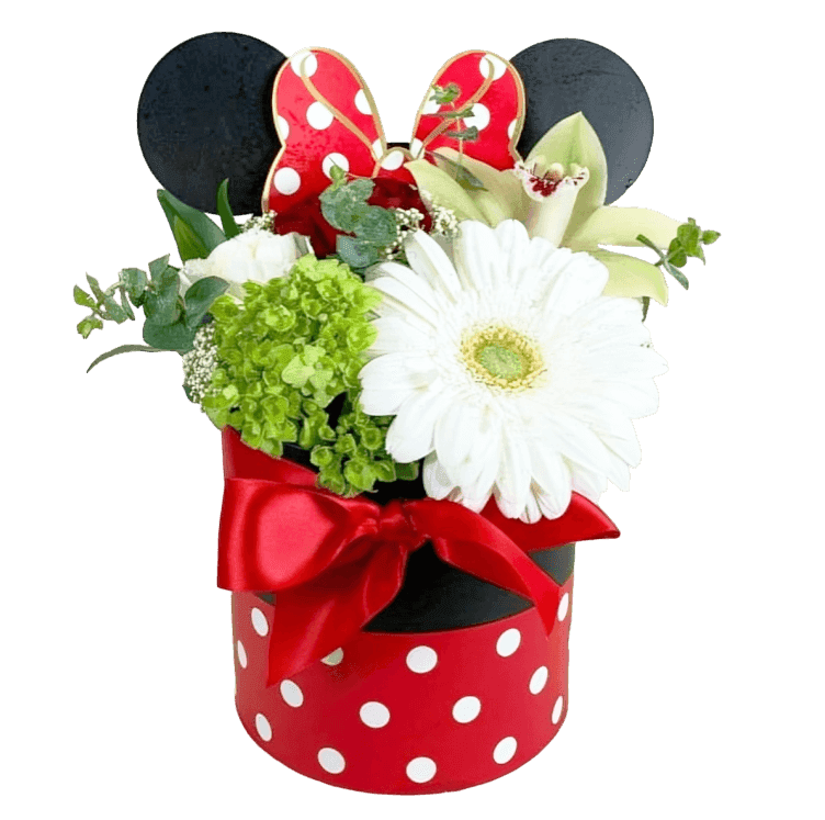 Signature Collection Inspirational Mini Mouse