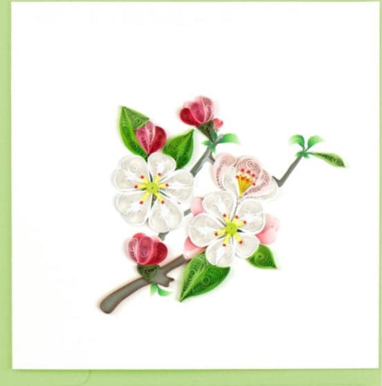 Apple Blossom Greeting Card BL1093