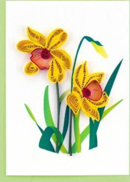 Daffodil Gift Enclosure GE505