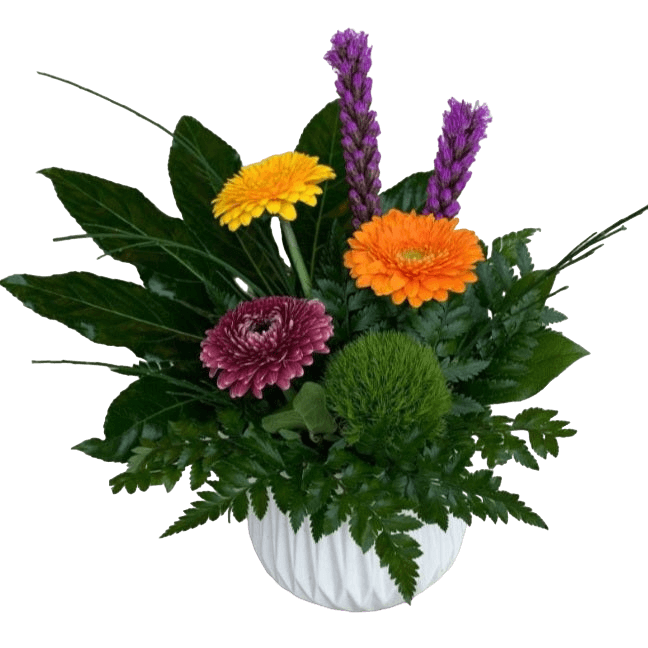 Get Well Soon Flowers Flowers Image